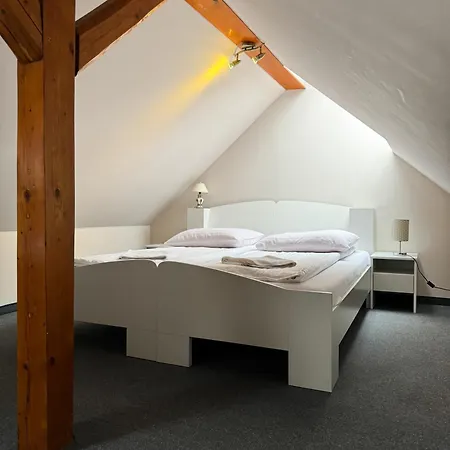 Carmen 3* 库多瓦-兹德鲁伊