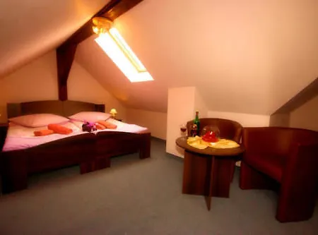 Carmen 库多瓦-兹德鲁伊